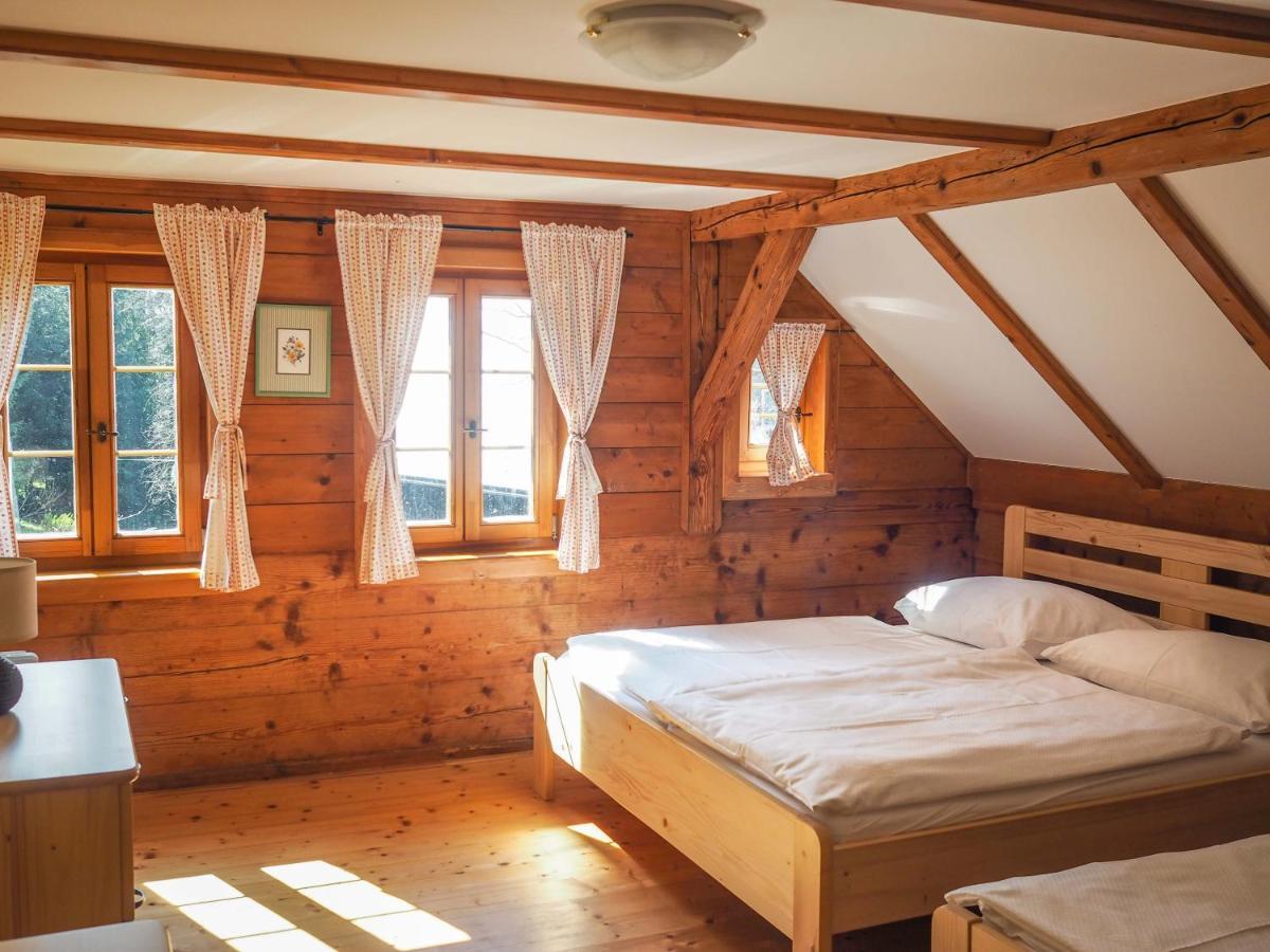 Chalet Luzicke Hory Dolni Svetla